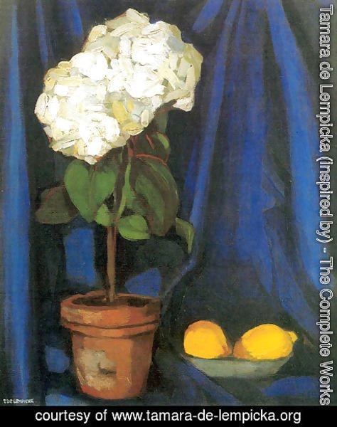 Bouquet of Hortensias and Lemon, c.1922